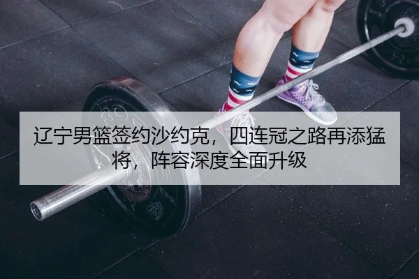 辽宁男篮签约沙约克，四连冠之路再添猛将，阵容深度全面升级
